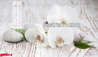 Tải file Tranh trang trí Spa làm đẹp KSPA616 (ảnh gốc) file AI/EPS