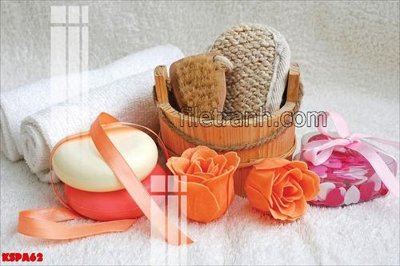 File gốc Tranh trang trí Spa làm đẹp KSPA62 (AI/EPS) cho in ấn