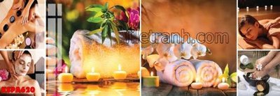 Tải file Tranh trang trí Spa làm đẹp KSPA620 (gốc) in trên mọi chất liệu