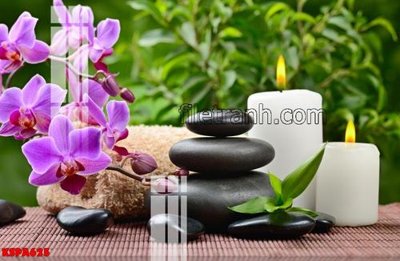 File gốc Tranh trang trí Spa làm đẹp KSPA625 (in mica) trang trí