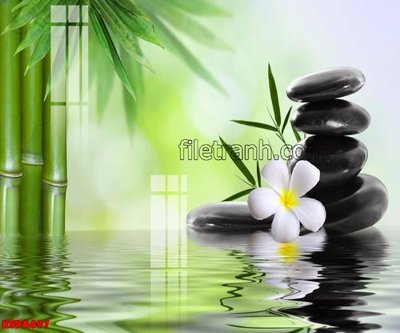 Tải file Tranh trang trí Spa làm đẹp KSPA697 (gốc) làm file quảng cáo