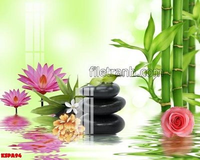 Hình ảnh file gốc Tranh trang trí Spa làm đẹp KSPA94 (chất lượng cao)