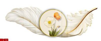 File tranh File in tranh decor gắn cắt led LED1673 (bản gốc) treo phòng ăn