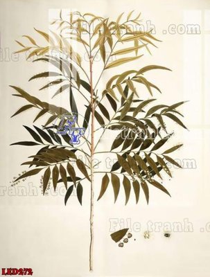 File in lụa File in tranh decor gắn led LED272 (hoa văn) File in tranh decor gắn led LED272