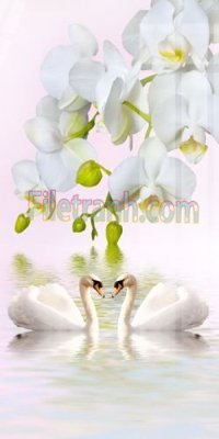 File in lụa Tranh trang trí Spa làm đẹp MP103 (tân cổ điển) Tranh trang trí Spa làm đẹp MP103