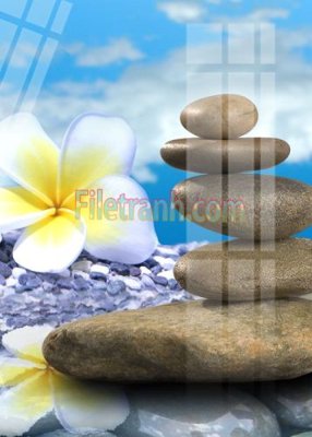 File in ấn Tranh trang trí Spa làm đẹp MP111 (bản gốc) sắc nét