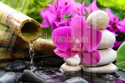 File in mica Tranh trang trí Spa làm đẹp MP120 (bản gốc) làm vách ngăn