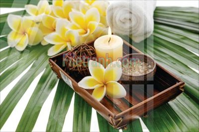 File gốc Tranh trang trí Spa làm đẹp MP153 (cho in ấn) độc quyền