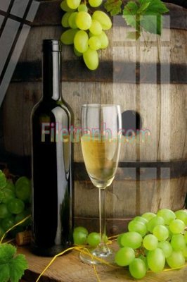 File gốc Tranh trang trí Spa làm đẹp MP158 (trang trí) phòng trẻ em