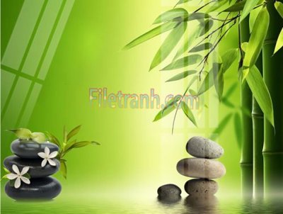 Tải file Tranh trang trí Spa làm đẹp MP167 (gốc) làm tranh trang trí