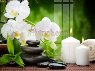 File gốc Tranh trang trí Spa làm đẹp MP175 (PSD/TIFF) độ phân giải cao