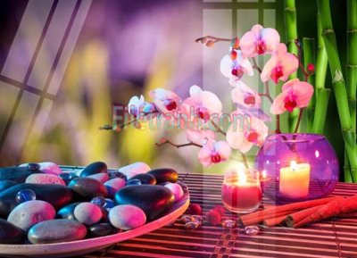 File tranh Tranh trang trí Spa làm đẹp MP177 (ảnh gốc) in trần xuyên sáng