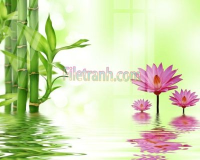 File tranh Tranh trang trí Spa làm đẹp MP179 (ảnh gốc) chi tiết rõ ràng