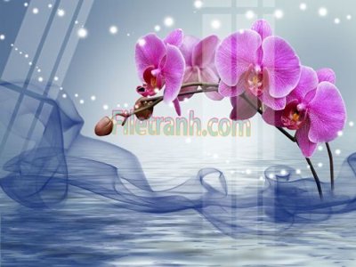 Tải file gốc Tranh trang trí Spa làm đẹp MP194 (in tráng gương) cao cấpFile gốc Tranh trang trí Spa làm đẹp MP194 (in ấn) phiên bản độc quyền