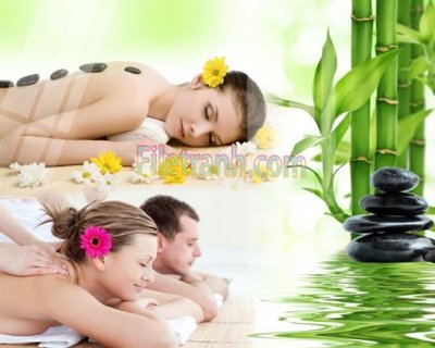 File tranh Tranh trang trí Spa làm đẹp MP195 (ảnh gốc) chi tiết rõ ràng