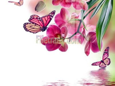 File in trần Tranh trang trí Spa làm đẹp MP198 (bản gốc) hoa văn