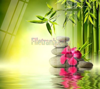 Tải file gốc Tranh trang trí Spa làm đẹp MP205 (in tráng gương) cao cấpFile gốc Tranh trang trí Spa làm đẹp MP205 (in ấn) phiên bản độc quyền