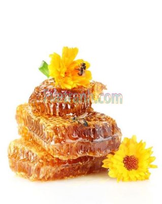 File ảnh Tranh trang trí Spa làm đẹp MP215 (gốc) dùng in Pano