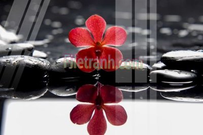 File in trần Tranh trang trí Spa làm đẹp MP225 (bản gốc) đại dương