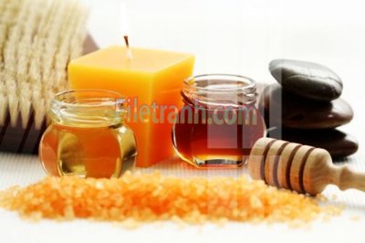 File in ấn cao cấp Tranh trang trí Spa làm đẹp MP241 (file gốc)