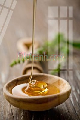 File gốc in mica Tranh trang trí Spa làm đẹp MP275 chất lượng