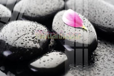 File tranh Tranh trang trí Spa làm đẹp MP296 (gốc) in film