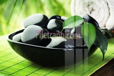 File tranh in trần Tranh trang trí Spa làm đẹp MP298 (ảnh gốc siêu nét)