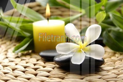 Hình ảnh file gốc Tranh trang trí Spa làm đẹp MP336 (chất lượng cao)