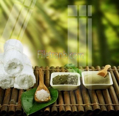 File gốc Tranh trang trí Spa làm đẹp MP340 (bản quyền) cho in ấn