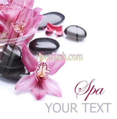 Ảnh gốc file in lụa Tranh trang trí Spa làm đẹp MP372 chi tiết
