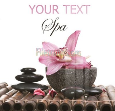 Tải file Tranh trang trí Spa làm đẹp MP373 (gốc) làm file quảng cáo