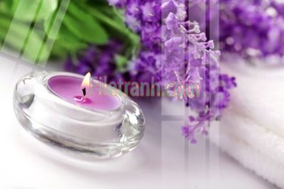 File in trần Tranh trang trí Spa làm đẹp MP387 (bản gốc) phong cảnh