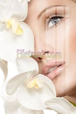 File ảnh Tranh trang trí Spa làm đẹp MP391 (gốc) cho trang trí nội thất