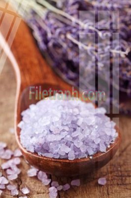 Mua file ảnh gốc Tranh trang trí Spa làm đẹp MP413 (chất lượng cao)