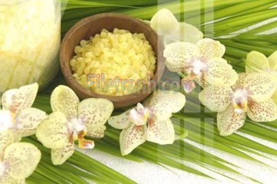 File tranh in trần 3D Tranh trang trí Spa làm đẹp MP459 (ảnh gốc)