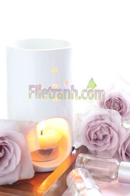 File in trần Tranh trang trí Spa làm đẹp MP480 (bản gốc) phong cảnh