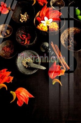 Download file Tranh trang trí Spa làm đẹp MP519 (gốc) in mica cao cấp