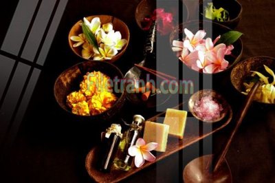 Tải file Tranh trang trí Spa làm đẹp MP522 (gốc) làm file in ấn