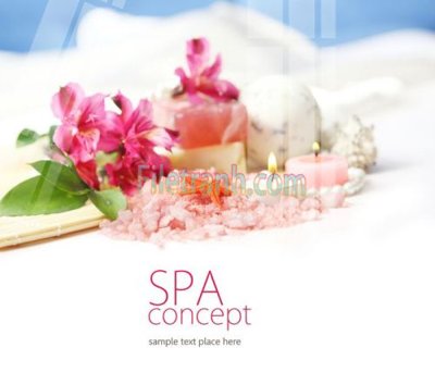 File gốc Tranh trang trí Spa làm đẹp MP534 (vector) cho in ấn