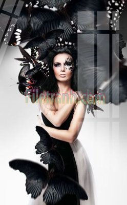 Download file gốc Tranh trang trí Spa làm đẹp MP555 (in lụa) hoa lá