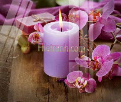 Mua file gốc Tranh trang trí Spa làm đẹp MP563 (PSD) tại Filetranh.com