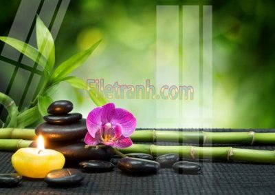 File in trần Tranh trang trí Spa làm đẹp MP613 (bản gốc) 5D