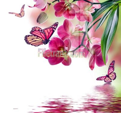 Tải file gốc in lụa Tranh trang trí Spa làm đẹp MP621 siêu nét