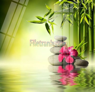 Download file gốc Tranh trang trí Spa làm đẹp MP639 (in mica) logo