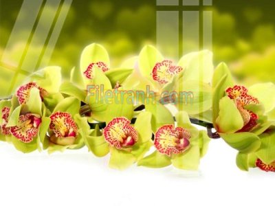 File in trần Tranh trang trí Spa làm đẹp MP641 (file gốc) xuyên sáng