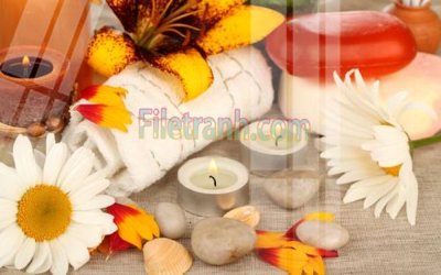 Download file gốc Tranh trang trí Spa làm đẹp MP665 (in mica) logo