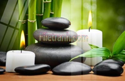 Tải file Tranh trang trí Spa làm đẹp MP674 (ảnh gốc) in tráng gương