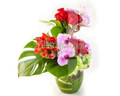 File in lụa Tranh trang trí Spa làm đẹp MP681 (hoa văn) Tranh trang trí Spa làm đẹp MP681