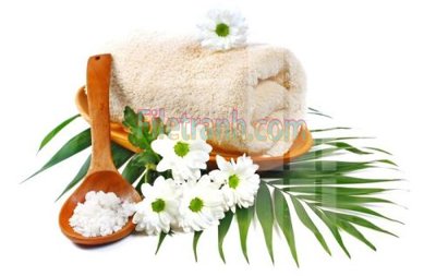 Hình ảnh file gốc in lụa Tranh trang trí Spa làm đẹp MP688