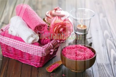 File gốc Tranh trang trí Spa làm đẹp MP697 (in lụa) tranh thuận buồm